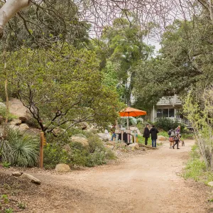 2018 Santa Barbara Beer Garden Event, Arroyo Section