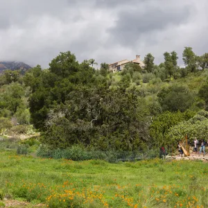 2018 Santa Barbara Beer Garden Event, Meadow