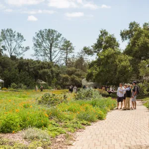 2018 Santa Barbara Beer Garden Event, Meadow