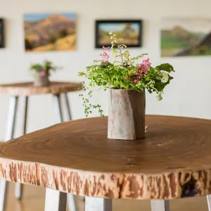 2018 Santa Barbara Beer Garden Event Brew Brunch, Pritzlaff Conservation Center
