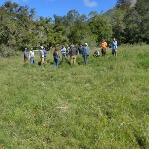 Horticulture staff meeting in the Meadow