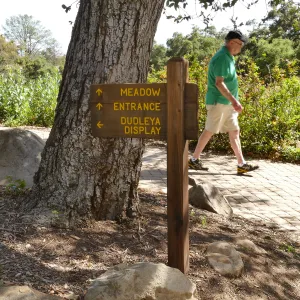 Wayfinding sign 06ca