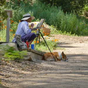 Artist painting in the Arroyo Section