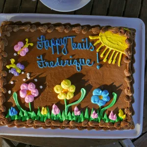 FrÃ©dÃ©rique Lavoipierre retirement party cake