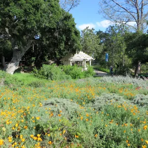 Groundcover display, entrance kiosk in background
