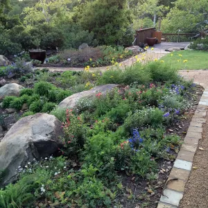 Water Wise Home Garden shortly after planting