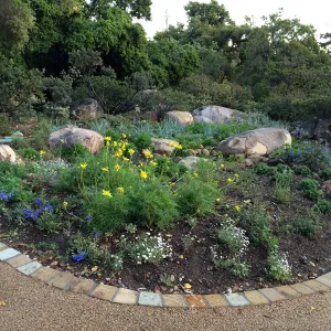Water Wise Home Garden shortly after planting