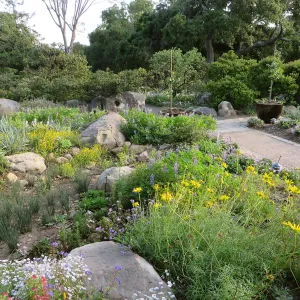 Water Wise Home Garden. Rain garden display
