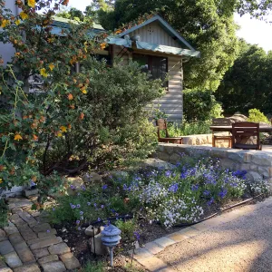 Water Wise Home Garden