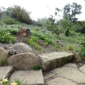 Steps at Porter Trail