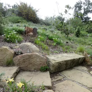 Steps at Porter Trail