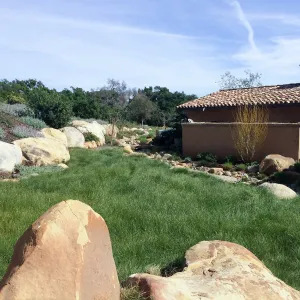 Victor Schaff garden, Carex lawn