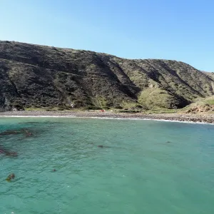 SBBG Staff field trip to Santa Cruz Island, 