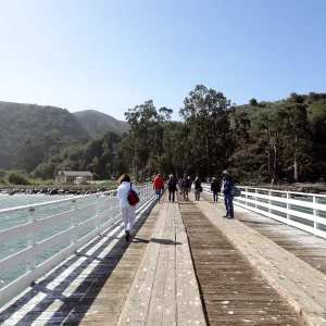 SBBG Staff field trip to Santa Cruz Island, Prisoners Harbor