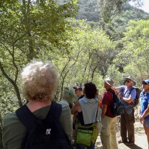 SBBG Staff field trip to Santa Cruz Island, Steve Junak