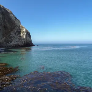 SBBG Staff field trip to Santa Cruz Island, Scorpion Harbor