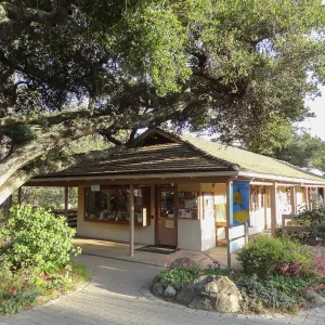Garden Shop, entrance oak