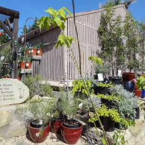 Garden Growers Nursery