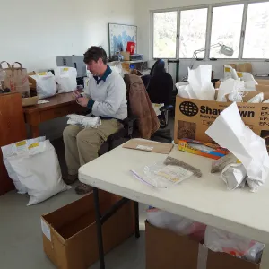 Seed Bank at Horticulture unit, Bruce Reed