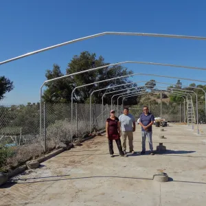 Construction at the Hort Unit, SBBG staff install the new shade structure, Heather Wehnau, James Lechuga, Michael Delgado