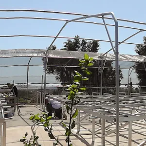 framework for new shade structure at the Hort Unit, panorama
