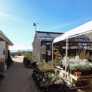 Hort unit (before installation of new shade structure and compactor growing benches)