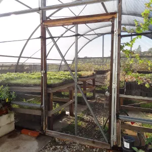 Horticulture nursery, Living collections nursery, plant propagation, hoop house