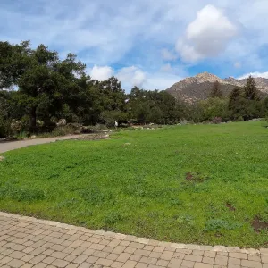 Meadow, view to Santa Ynez Mountains, Meadow Revival Project Grow/Kill