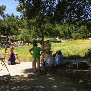 painters, painting the spring wildflower Meadow, 2014, SBBG