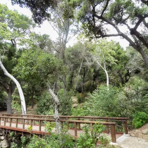 Campbell Bridge, 5 years post Jesusita Fire