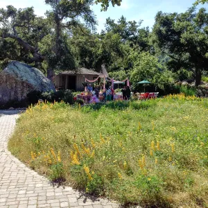 Private event, spring wildflower Meadow, 2014, SBBG