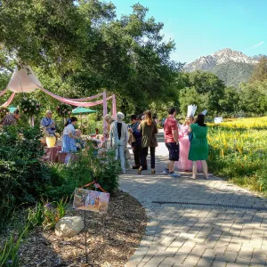Private event, spring wildflower Meadow, 2014, SBBG