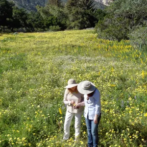 recreating the historic photo of two girls in the Meadow with wildflowers, SBBG spring wildflower Meadow, 2014