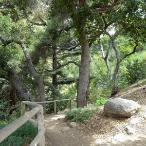 Indian Steps, 5 years post Jesusita Fire