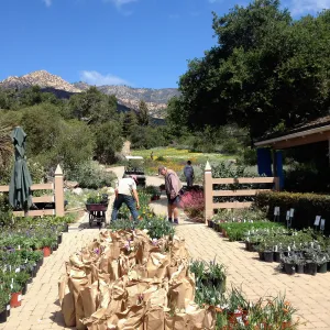 Spring Plant Sale setup, 2014