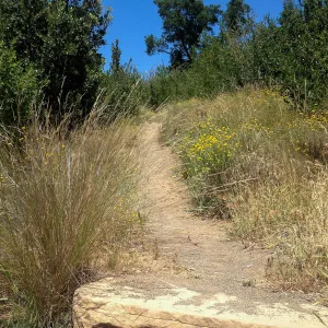 Porter Trail