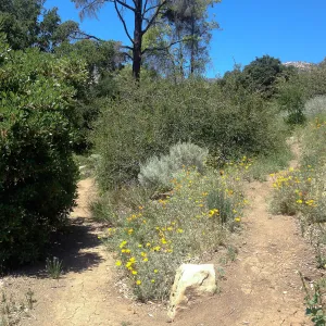 Porter Trail