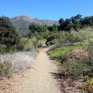 Porter Trail