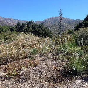 Porter Trail
