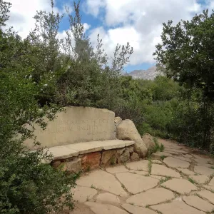 Pritchett Bench, 5 years post Jesusita Fire