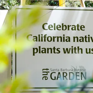 new sign at Entrance Kiosk, Celebrate California native plants with us