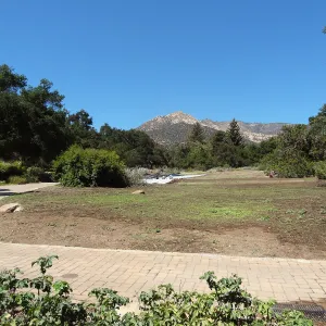 Meadow Revival Project, black versus white plastic mulch test, installation
