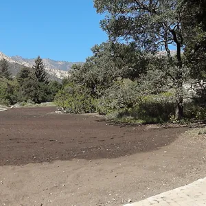 Meadow Revival Project, black versus white plastic mulch test, installation