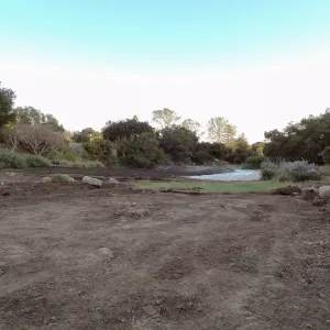 Meadow Revival Project, turf removal