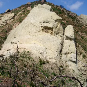 Winchester Canyon After the Gap Fire, emergent vegetative growth