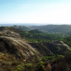 Winchester Canyon After the Gap Fire
