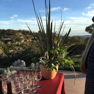 Garden to Table dinner at the Pritzlaff Conservation Center