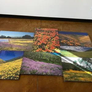 Setting up for Bob Haller memorial and photography exhibit