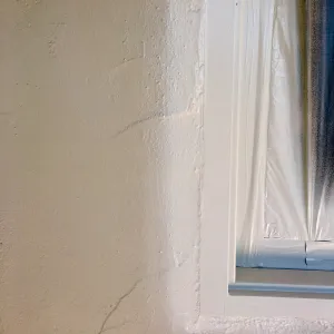 West side painting project