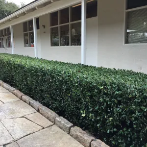 Courtyard flagstone walkway installation